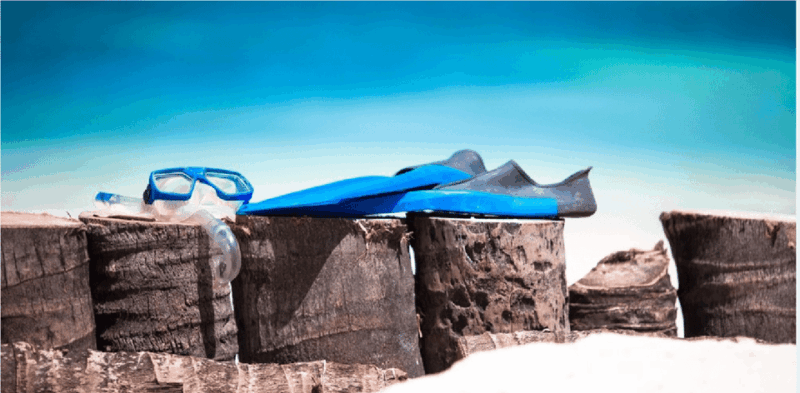 Cozumel: Snorkeling Adventure - Detailed Itinerary