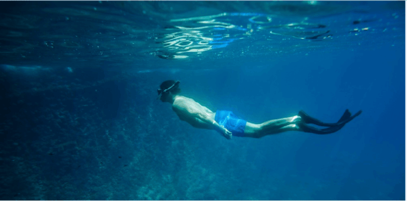 Cozumel: Snorkeling Adventure - Whats Included