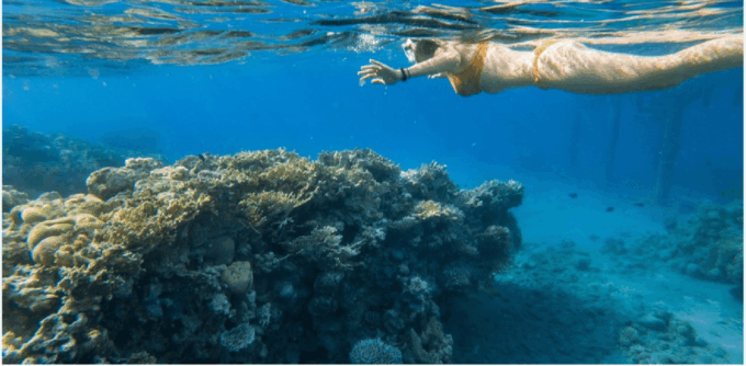 Cozumel: Snorkeling Adventure - Exploring Cozumel