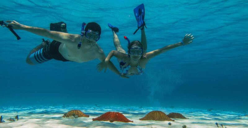 Cozumel: Snorkeling to Palancar, Columbia and El Cielo Reefs - Key Points