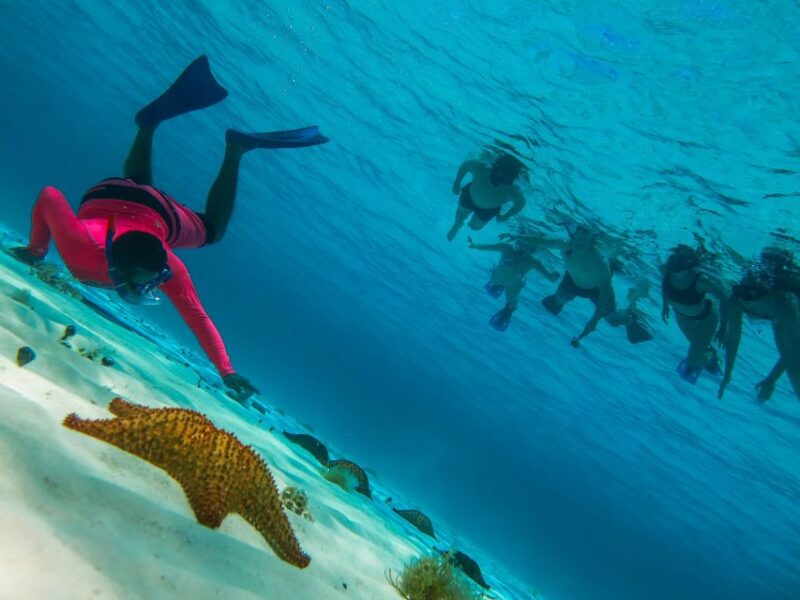Cozumel: Snorkeling to Palancar, Columbia and El Cielo Reefs - Customer Feedback