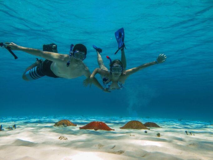 Cozumel: Snorkeling to Palancar, Columbia and El Cielo Reefs - Meeting Point and Arrival Time