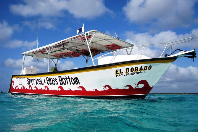 Cozumel Snorkeling Tour at Palancar & Colombia Reefs and El Cielo - Marine Life Encounters