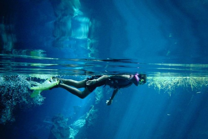 Cozumel Snorkeling Tour From Playa Del Carmen - Itinerary and Inclusions