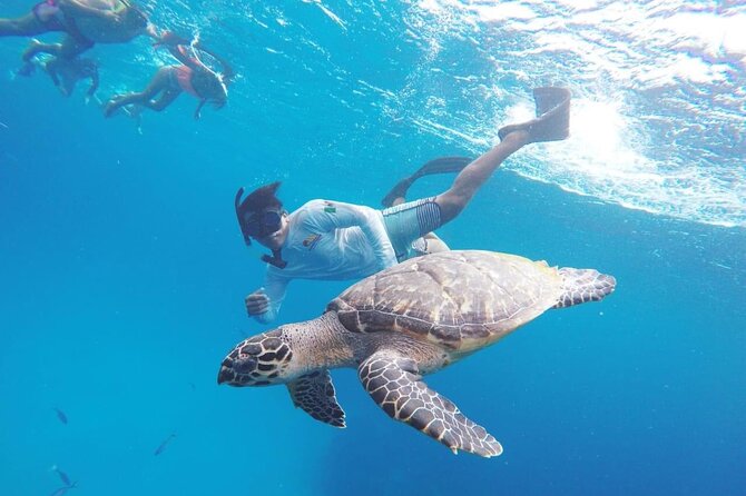 Cozumel Snorkeling Tour: Palancar, Columbia and El Cielo Reefs - Snorkeling Locations