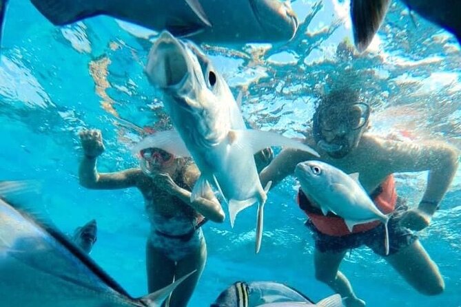 Cozumel Snorkeling Tour: Palancar, Columbia and El Cielo Reefs - Guided Experience