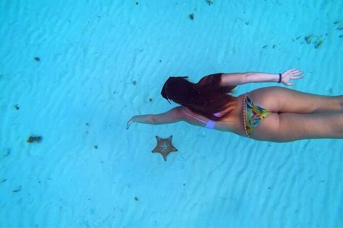Cozumel Snorkeling Tour: Palancar, Columbia and El Cielo Reefs - Marine Life Highlights