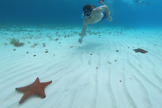 Cozumel Snorkeling Tour: Palancar, Columbia and El Cielo Reefs - Unique Stops