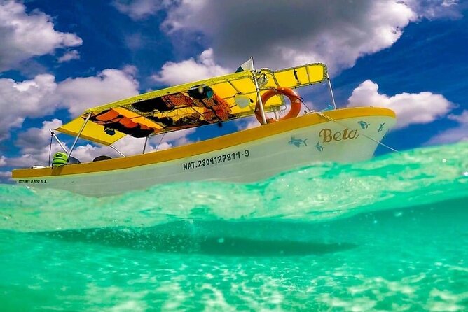 Cozumel Snorkeling Tour: Palancar, Columbia and El Cielo Reefs - Customer Feedback