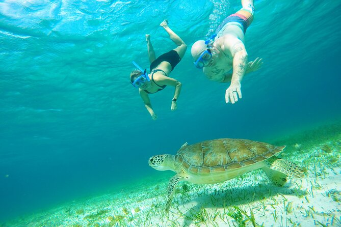 Cozumel Snorkeling Tour: Starfish, Stingrays and the Turtle Bay Experience - Experienced and Friendly Guides