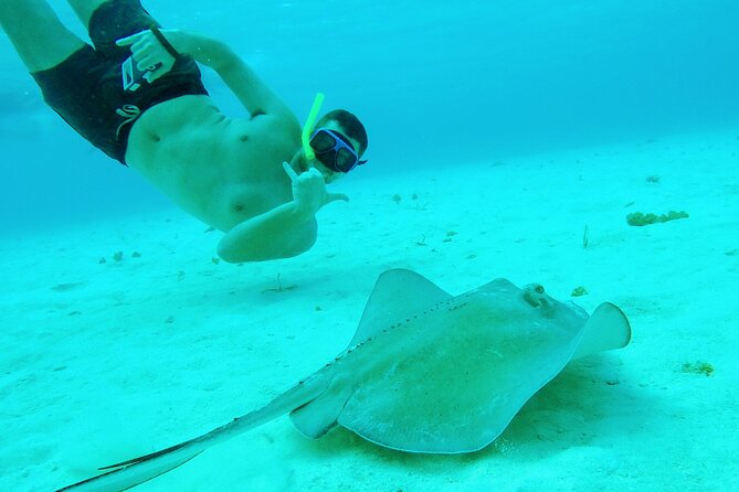 Cozumel Snorkeling Tour: Starfish, Stingrays and the Turtle Bay Experience - Customer Feedback and Experiences