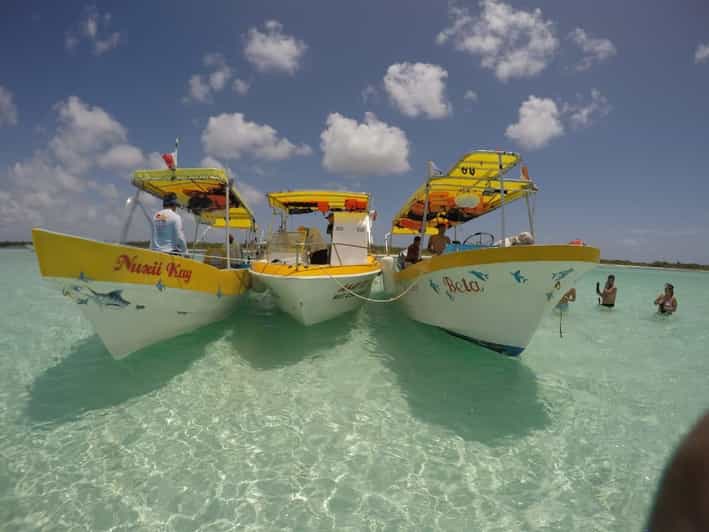 Cozumel: Snorkeling Tour With Cielo Estrellas Reef Visit - Key Points