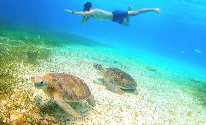 Cozumel: Snorkeling Tour With Cielo Estrellas Reef Visit - Frequently Asked Questions