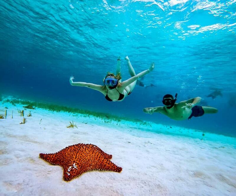 Cozumel: Starfish, Rays and El Cielo Snorkeling Experience - Exploring the Experience: What You Can Expect