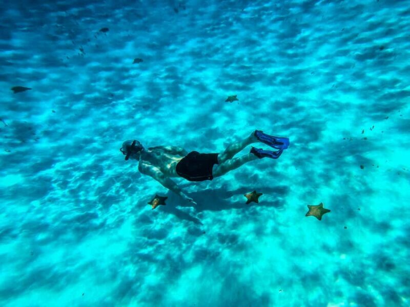 Cozumel: Starfish, Rays and El Cielo Snorkeling Experience - Suitability and Recommendations