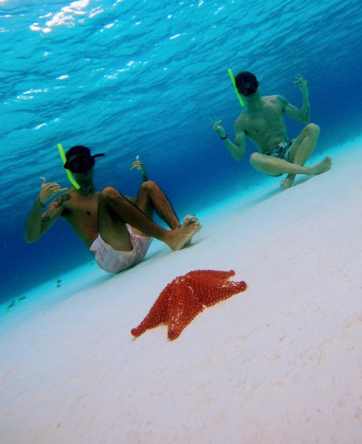Cozumel: Starfish, Stingrays, and Turtle Bay Snorkeling Tour - Pricing and Discounts