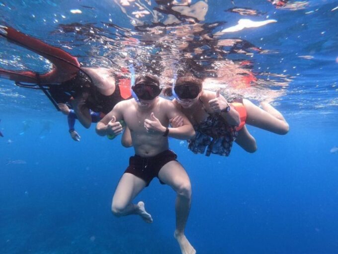 Cozumel: Starfish, Stingrays, and Turtle Bay Snorkeling Tour - Customer Feedback