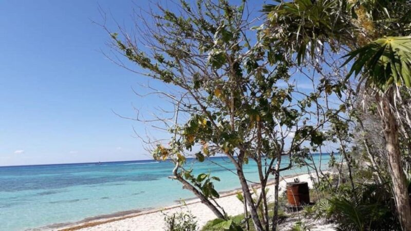 Cozumel: Taco Culture, Tasting & Beach Experience - Booking Details