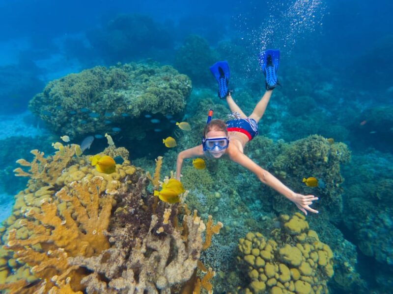 Cozumel: the Sky, Palancar Reef, and Beach Party With Food - Included Activities and Amenities