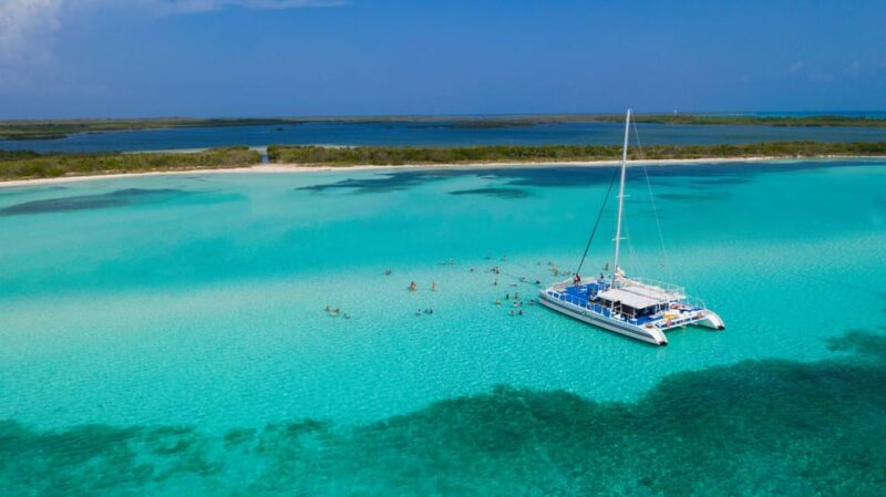 Cozumel: the Sky, Palancar Reef, and Beach Party With Food - What to Bring and Considerations