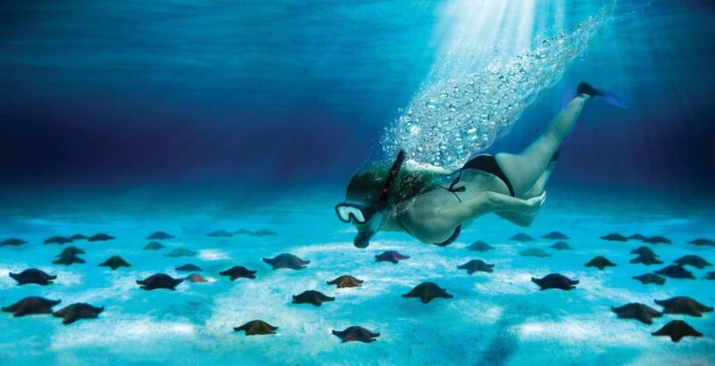 Cozumel: the Sky & Palancar Snorkel With Open Bar & Ceviche - Key Points