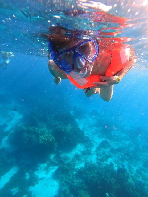 Cozumel: the Starfish Sanctuary Sky - Meeting Point and Essentials