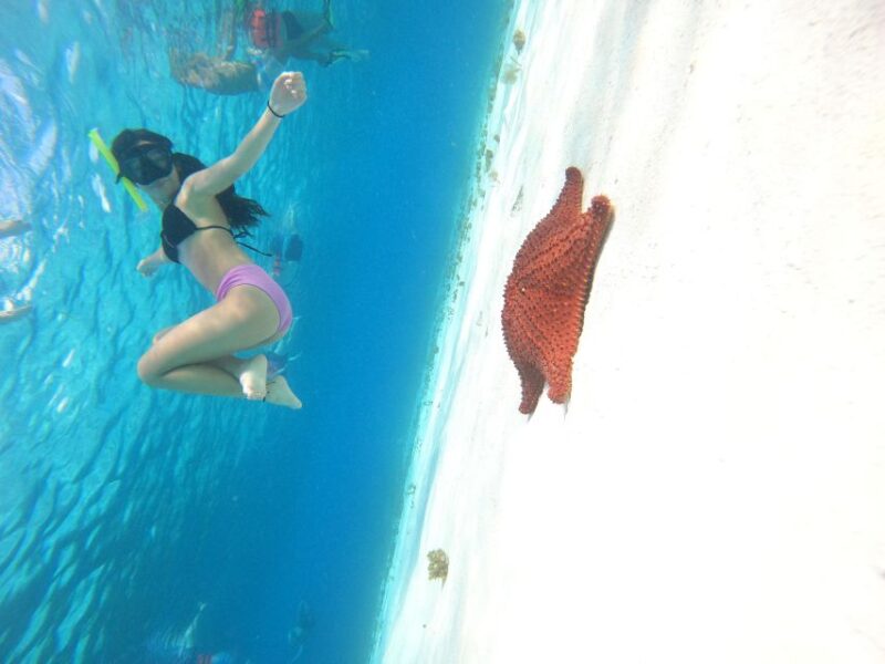 Cozumel: the Starfish Sanctuary Sky - Restrictions and Limitations