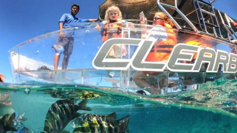 Cozumel: Transparent Boat Tour - Experience Highlights