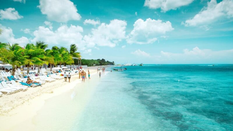 Cozumel: Transparent Boat Tour - Important Information