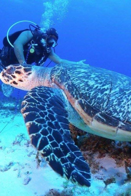 Cozumel: Twilight Dive for Certified Divers - Instructor Details