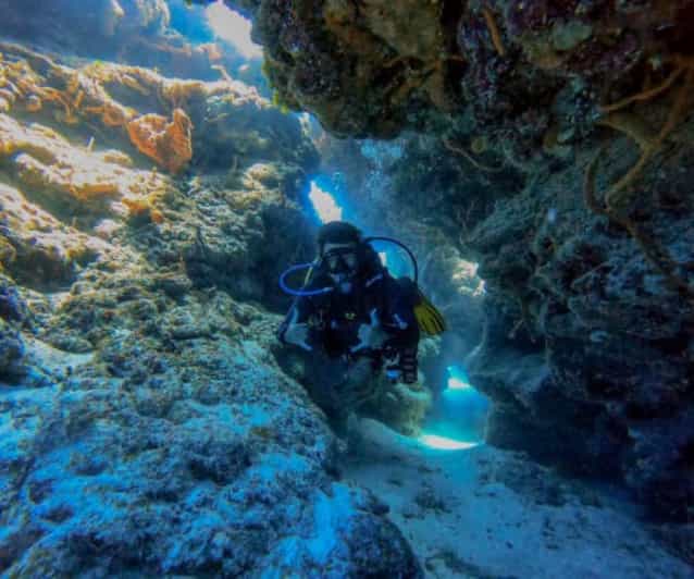 Cozumel: Two Dives in Cozumel National Marine Park - Key Points