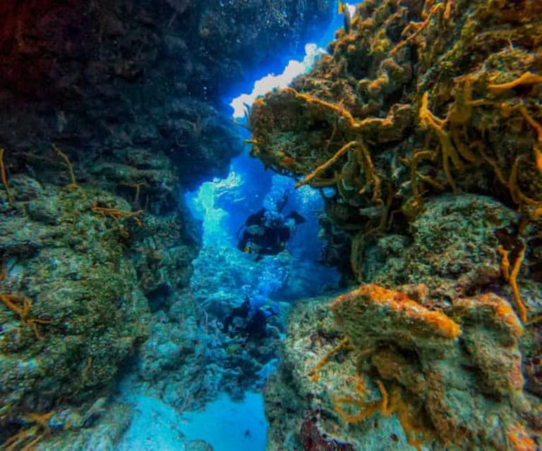 Cozumel: Two Dives in Cozumel National Marine Park - Included Amenities