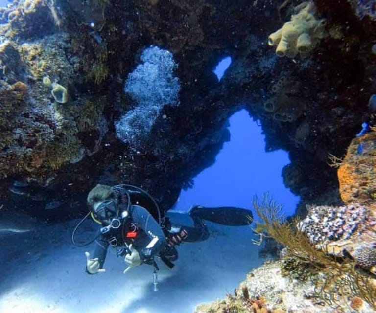 Cozumel: Two Dives - Sunset & Night - Exploring Cozumels Underwater Wonders