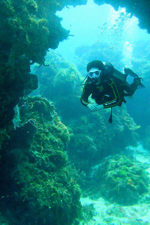 Cozumel Two Tank Boat Diving Trip - Key Points