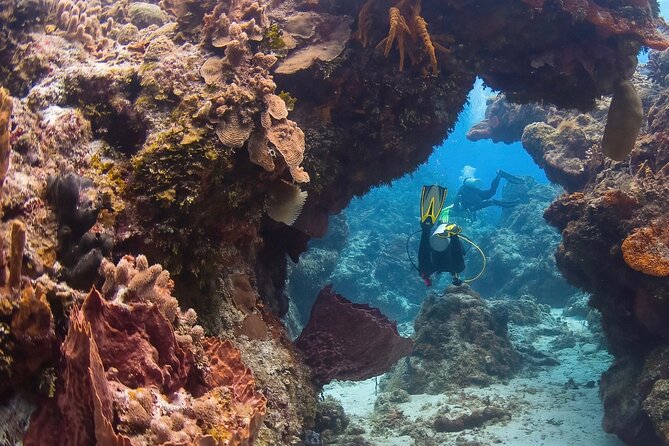 Cozumel Underwater 2 Tank Dive by Boat - Meeting Point and Pickup Details