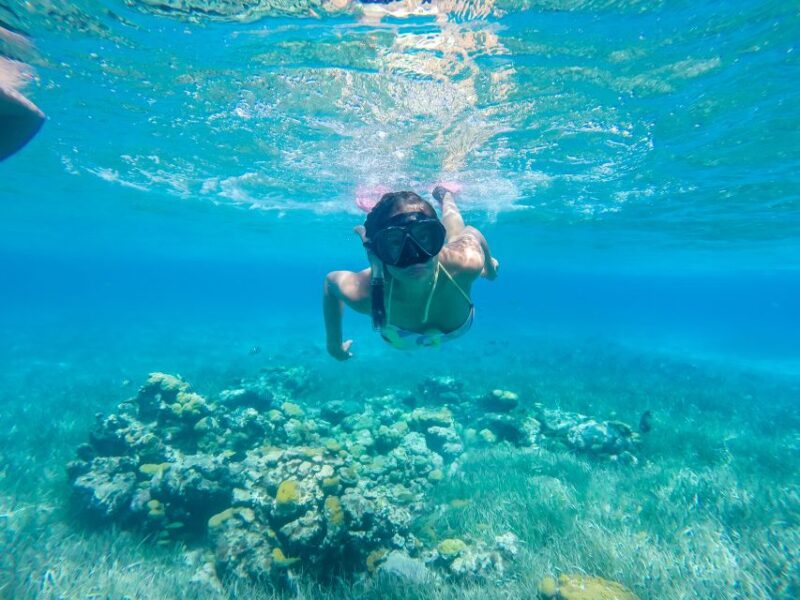 Cozumel: West Coast E-Bike and Snorkeling Tour - Key Points