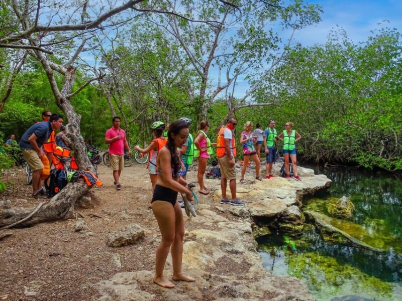 Cozumel: West Coast E-Bike and Snorkeling Tour - Experience Highlights