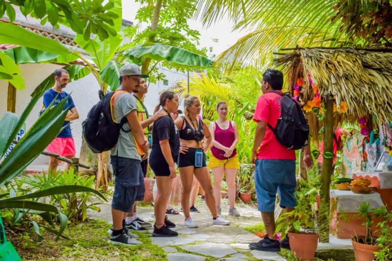 Cozumel West Coast E-Bike Tour and Snorkeling - Key Points