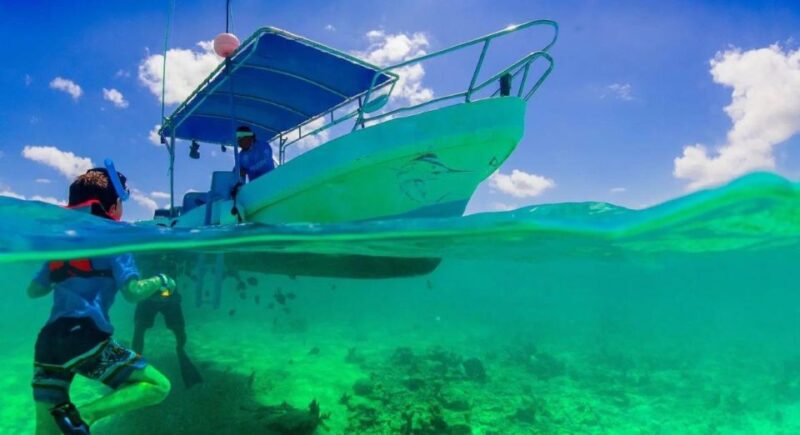 Cozumel:El Cielo Lancha-A Captivating Caribbean Sea Cruise - Experience Highlights