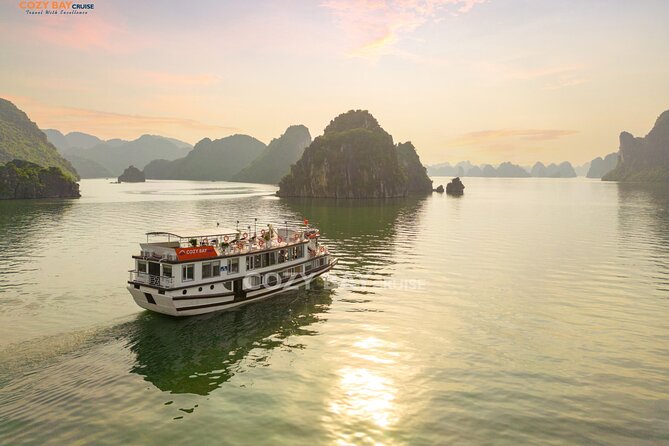 Cozy Bay Cruises - Best Boutique Cruise in Halong Bay 2D/1N Tour - Itinerary and Activities