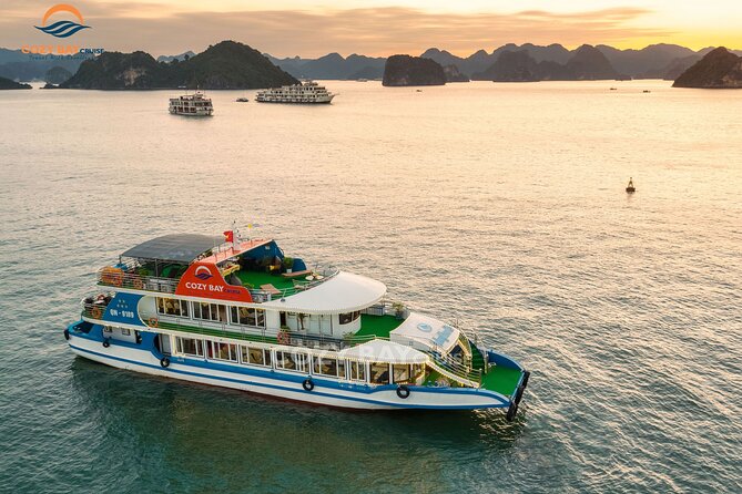Cozy Bay Halong 5-Star Day Cruise, Buffet, Cave, Kayak, Swimming - Important Considerations