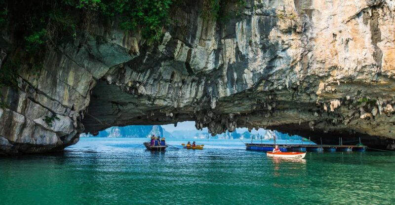 COZY BAY PREMIUM CRUISE (5 STAR) - HALONG LUXURY DAY TRIP - Key Points