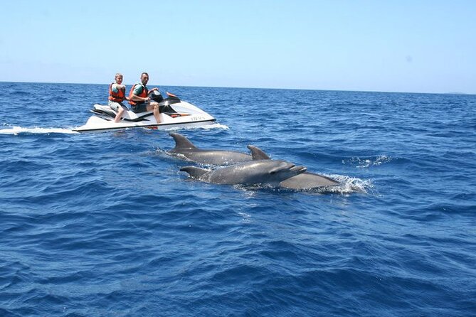 Crab Island Dolphin Jetski Adventure - Key Points