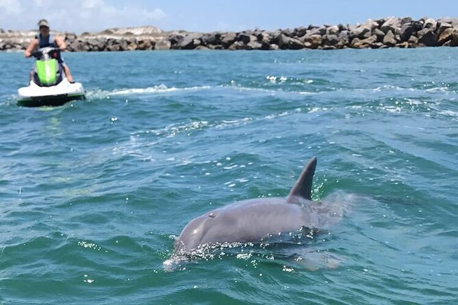 Crab Island Dolphin Jetski Adventure - Experience and Reviews