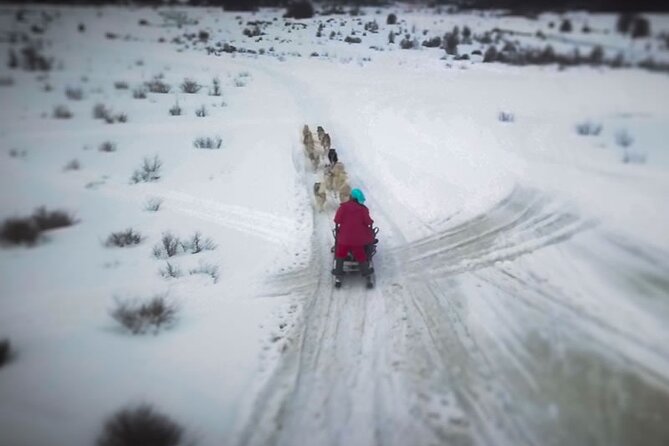 Crab Route in the Snow 4x4 in Tierra Del Fuego - Frequently Asked Questions