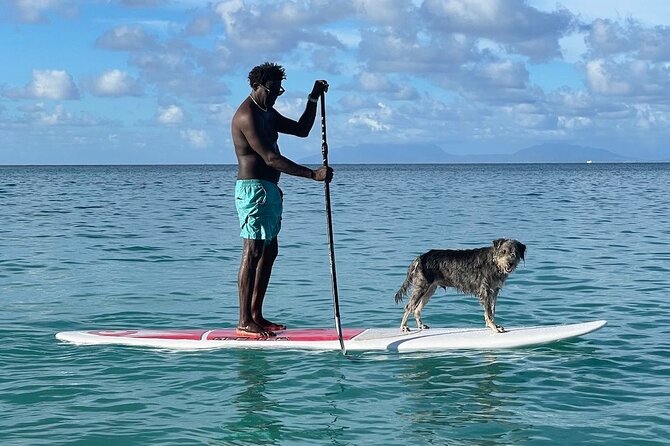 Crabbe Hill Beach Private Sunset Paddleboard - About Your Stay