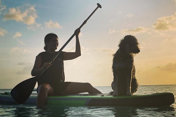 Crabbe Hill Beach Private Sunset Paddleboard - Accessibility and Group Size