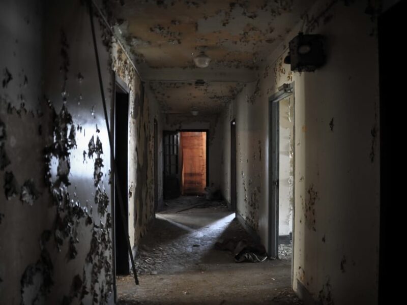 Cracow: Horror House Adventure in a Small Group - Accessibility