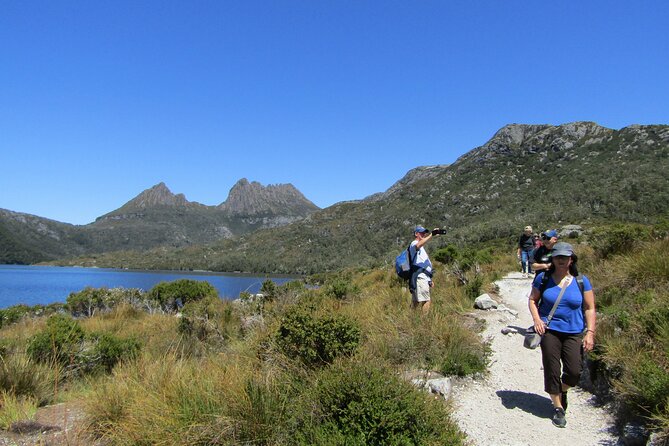 Cradle Mountain Active Day Trip From Launceston - Informative Commentary and Wildlife Sightings