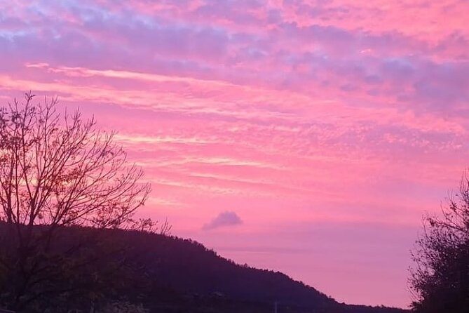 Cradle Mountain : Hobart to Cradle Active Day Trip - Dining and Refreshments